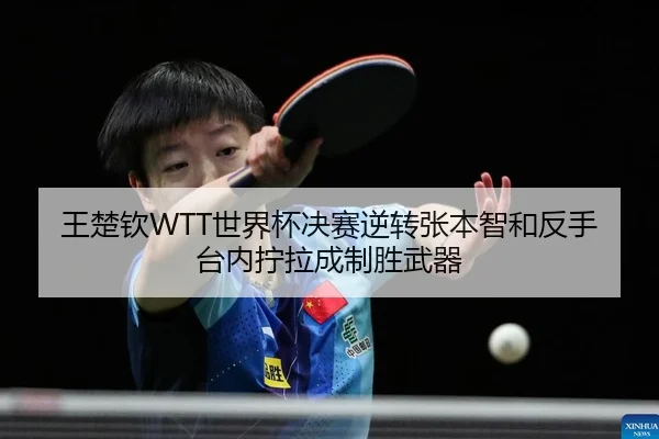 wang-chu-qin-shi-jie-bei-jue-sai-ni-zhuan-zhang-ben-zhi-he-fan-shou-tai-nei-ning-la-cheng-zhi-sheng-wu-qi-2-510.jpg