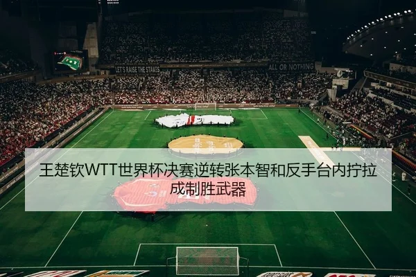王楚钦WTT世界杯决赛逆转张本智和反手台内拧拉成制胜武器